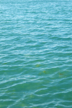 Vertical Clear Turquoise Ocean Water