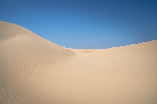 Curved sand dunes with wind ripples under a clear blue sky at Guadalupe-Nipomo Dunes, California.