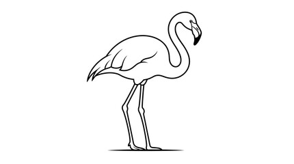 A black and white silhouette of a flamingo stands alone. © You