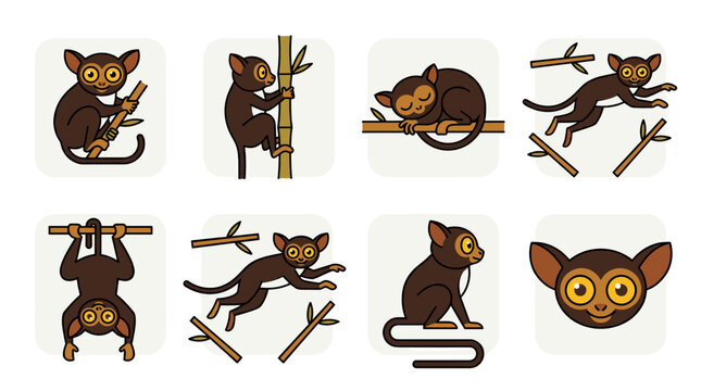 Bengal slow loris animal.