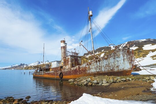 Wreck of the whaler ship Petrel, Former Grytviken whaling station, King Edward Cove, South Georgia, South Georgia and the Sandwich Islands, Antarctica