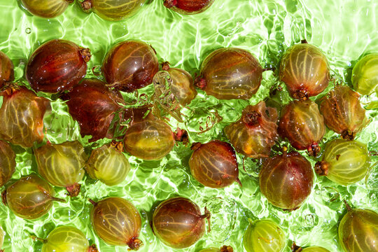 Fresh gooseberries floating in water, top view