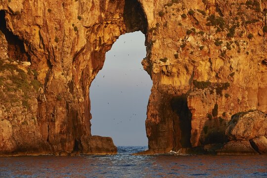 Detail of a rock arch at sunrise with birds in the sky, morning light, Tsichli Babas islet, Navarino Bay, Pylos, Peloponnese, Greece
