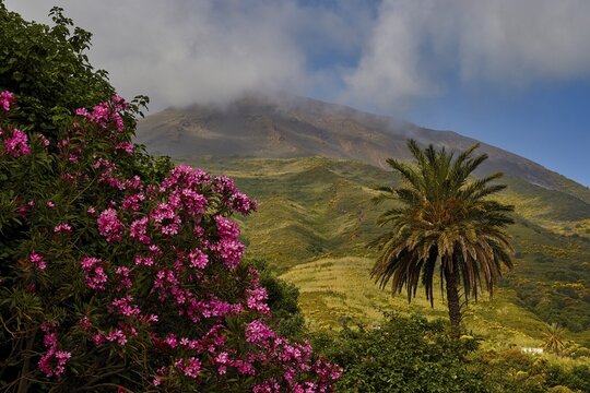 Stromboli, mountain with volcanic peak surrounded by lush vegetation and palm trees, UNESCO World Heritage Site, Aeolian Islands, Aeolian Islands, Sicily, Italy