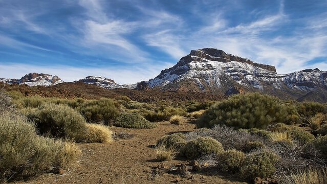 An impressive mountain landscape with clear sky lines and dense vegetation on the ground, Teide, Parque Nacional del Teide, Teide National Park, volcano, volcanism, UNESCO World Heritage Site, Tenerife, Canary Islands, Spain