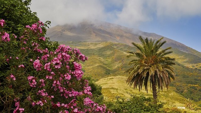 Oleander, palm tree, green mountain, summit in clouds, Stromboli, mountain, volcano, volcanic island, Stromboli, Aeolian Islands, Lipari Islands, Sicily, Italy