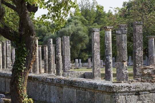 Hera Temple, Heraion, Old Walls with Strung Columns in a Wooded Environment, Archaeological Site, Ancient Olympia, Olympia, Peloponnese, Greece