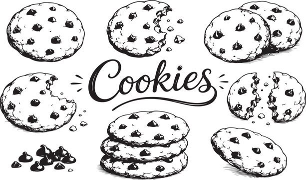 Hand drawn chocolate chip cookies collection with crumbs and lettering Vector