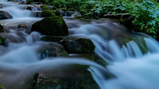 Crystal Mountain Rivulet Timelapse - Tatra Forest Summer Day