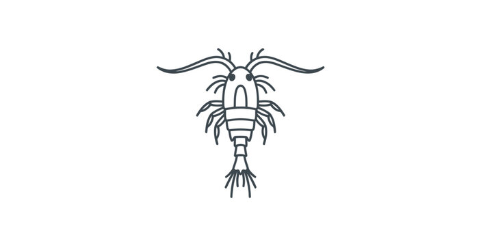 Copepod Minimal Outline Vector Illustration