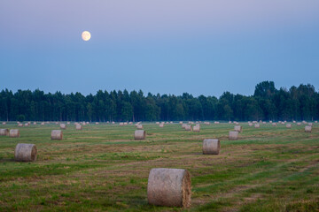 Hay Bales on Harvested Field Beneath Full Moon and Evening Sky in Peaceful Rural Summer Landscape Scene © Zigmunds