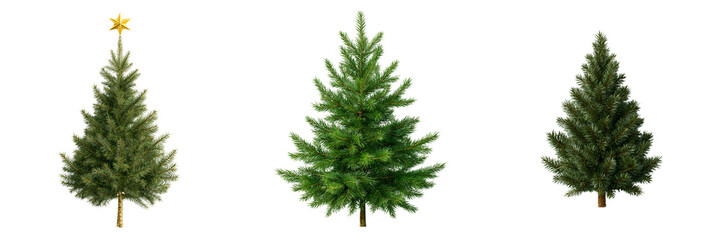 Fototapeta premium Set of Symmetrical Evergreen Fir Tree Cutout for Christmas or Landscaping Design transparent png background. Ai generated