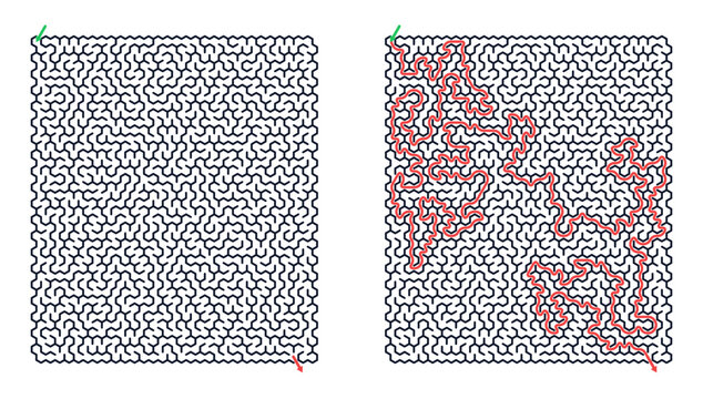 Intricate hexagonal maze design with 30x40 grid showcasing a complex path solution in contrasting red lines