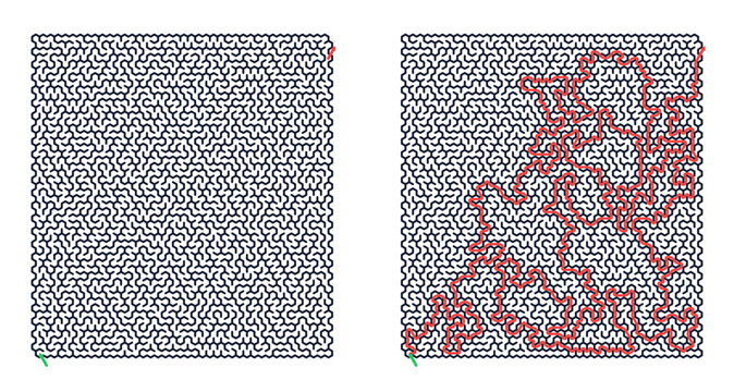 Detailed hexagonal maze with 40x50 grid showcasing intricate paths, featuring a solved route highlighted in red, displayed side by side on a white backdrop