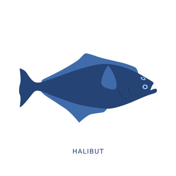 Halibut fish fishing animal