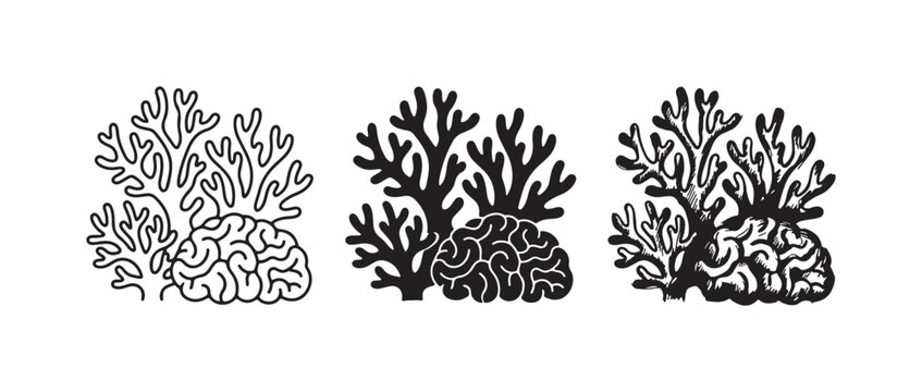 Combination of brain coral and branched coral icons, shown in outline, solid black, and hand-drawn sketch styles.