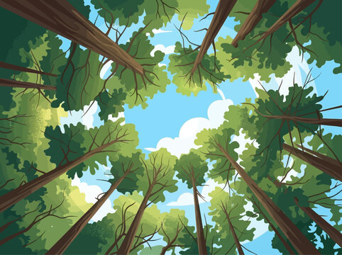Looking up at tall trees with green leaves reaching the blue sky