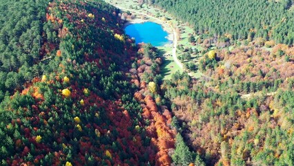 Colorful autumn forest revealing vivid blue pond nestled among red and green trees, Bolu, Turkey. Aerial forward flight © Faraways