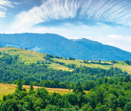 agricultural field on hillside in mountains near village. high noon summer day. green carpathian mountain landscape. narrow view. organic farmland beauty. remote alpine highland