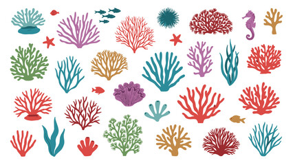 Colorful coral reef elements with fish and sea creatures on white background  sea  ocean  marine life © Siddhartha