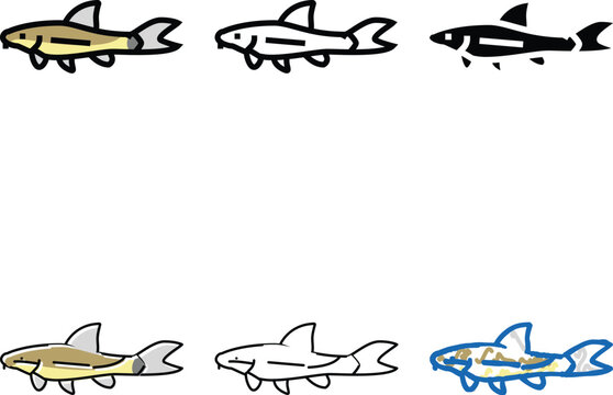 otocinclus fish color icon vector. otocinclus fish sign. types isolated symbol