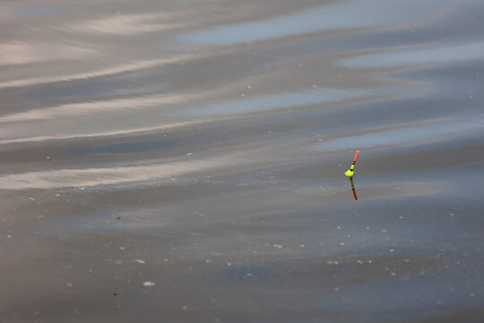 Fishing float bobbing on calm water surface