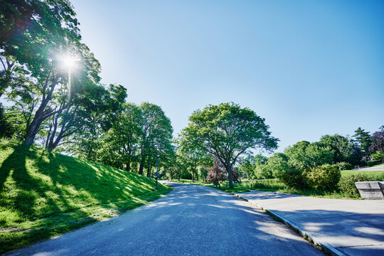 Pathway through Washington park, Albany, New York