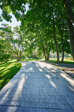 Pathway through Washington Park, Albany, New York 