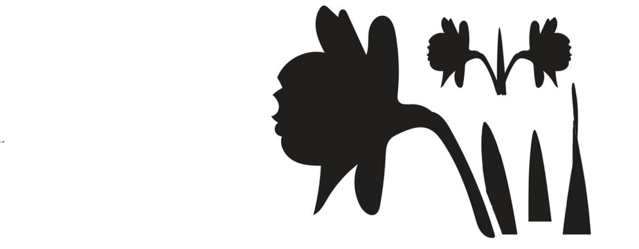 Abstract daffodil flower and leaf silhouette set with daffodil, silhouette