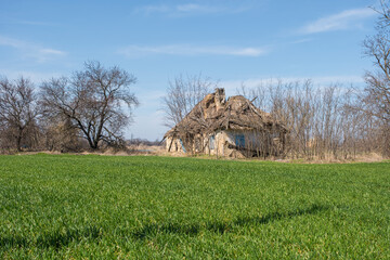 : Abandoned rural house beside a green agricultural field © Viktor