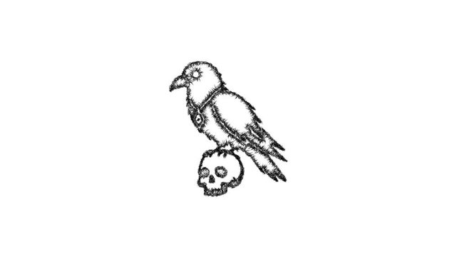 Sketch necromancer familiar icon animation - smooth progressive reveal