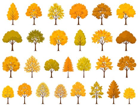 Collection of assorted cartoon trees in autumn colors and shapes, set against a white background