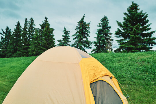 Camping tent in a green meadow with pine trees