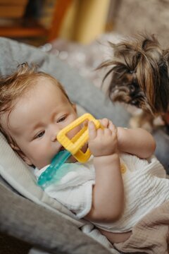 Portrait of a cute baby sitting in a bouncer and chewing a colorful silicone teether toy