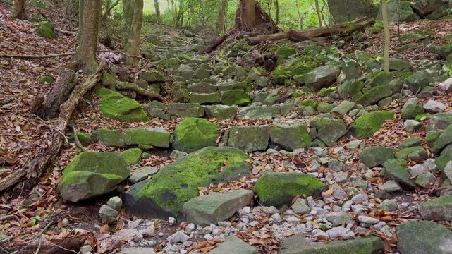 多良岳登山道の石段