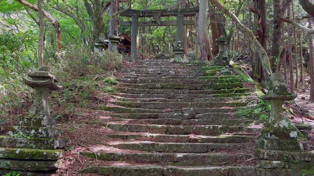 多良岳登山道の石段と太良嶽大権現の鳥居