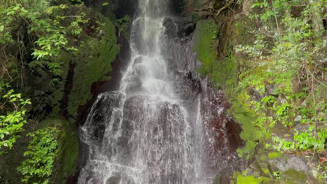 尾鈴山の登山道付近の滝（あじさいの滝）