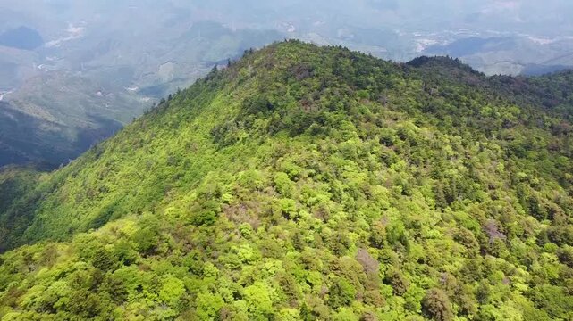 尾鈴山の山頂上空からのドローン空撮