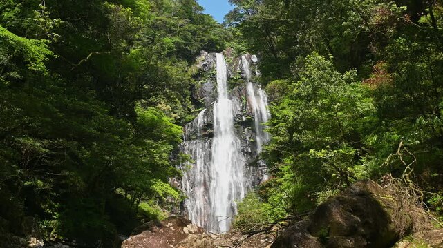 矢研の滝（尾鈴山瀑布群）