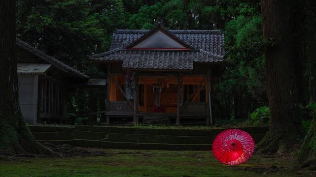 神社の拝殿とヒメボタル