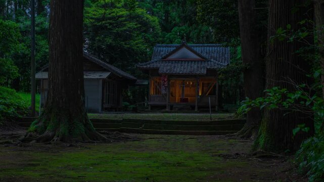 神社の拝殿とヒメボタル