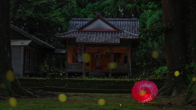 神社の拝殿とヒメボタル
