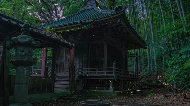 お寺のお堂とヒメボタル