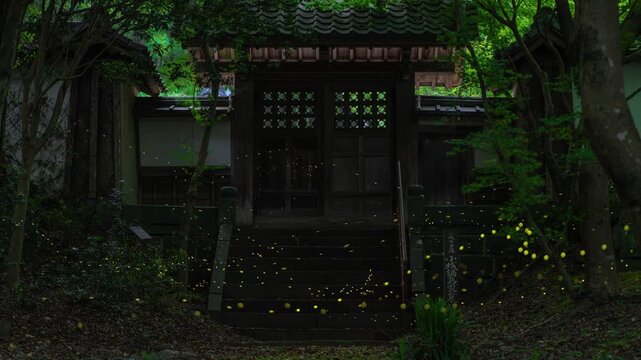 和風の門とヒメボタル