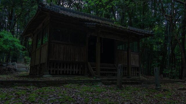 神社の拝殿とヒメボタル