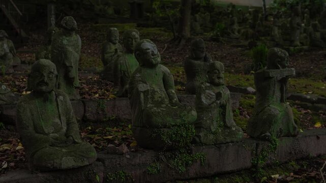 羅漢像とヒメボタル