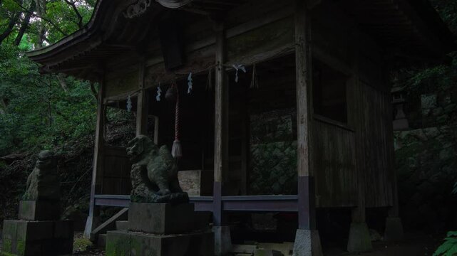 山の中の神社とヒメボタル