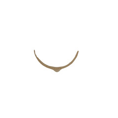 Fototapeta premium Minimalist brown eyebrow curved line icon