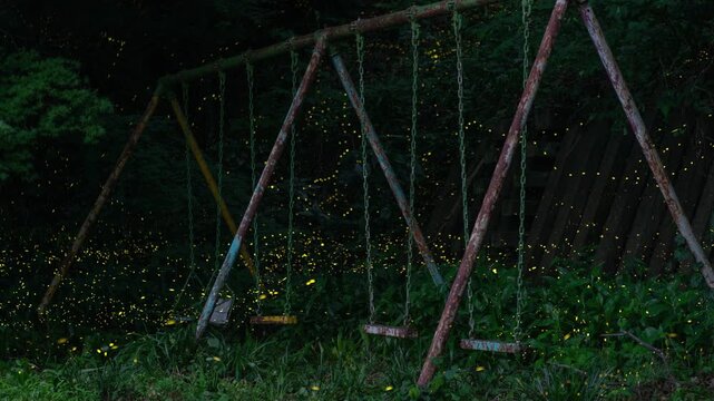 ブランコとヒメボタル