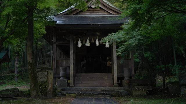 森の中の神社とヒメボタル